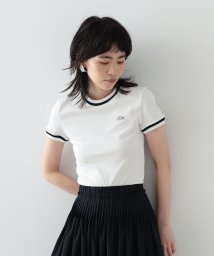 GALLEST(ギャレスト)/【LACOSTE】スリムフィットリブ衿Tシャツ/オフホワイト（003）