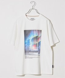 B.C STOCK(ベーセーストック)/《予約》OLIVEDRAB ICE PHOTO Tシャツ/ホワイトA