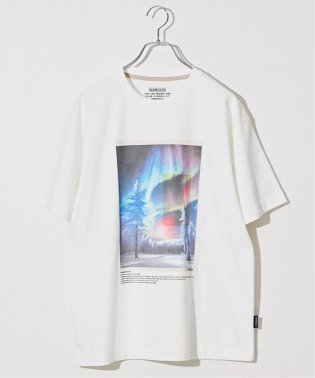 B.C STOCK/《予約》OLIVEDRAB ICE PHOTO Tシャツ/506103895