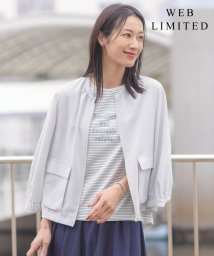 J.PRESS LADIES（LARGE SIZE）/【WEB限定・洗える】ボイルドワッシャー ブルゾン/506055909