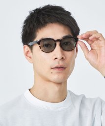 green label relaxing(グリーンレーベルリラクシング)/＜jugaad14＞OCEAN オーシャン ファッション用グラス/DK.BROWN