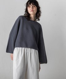 la.f...(ラ　エフ)/【一部店舗・WEB限定アイテム】ワイドスリーブクロップドニットプルオーバー≪手洗い可能≫/チャコールグレー