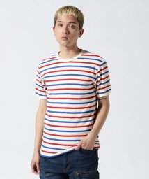 AVIREX/《DAILY/デイリー》DAILYCREW NECK BORDER T－SHIRT/ クルーネック ボーダーTシャツ/506102023