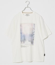 B.C STOCK(ベーセーストック)/《予約》OLIVEDRAB ICE PHOTO Tシャツ/ホワイトB