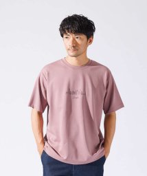 ABAHOUSE(ABAHOUSE)/【CITY】刺繍 ポンチ Tシャツ/スモークピンク