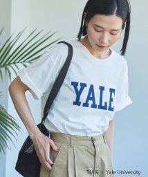 coen(coen)/YALE別注ロゴプリントバック刺繍Tシャツ/OFFWHITE