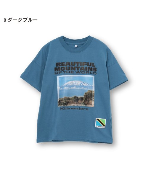 D.FIT(ディフィット)/BIG Tシャツ/Bダークブルー