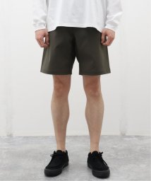 JOURNAL STANDARD/HOUDINI / フーディニ Ms Dock Shorts 290864/506106840