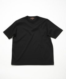 Men's Bigi/60/2マーセライズジャージクルーネックTEE/506107825