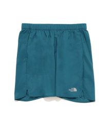 THE NORTH FACE/SWALLOWTAIL VENT HALF PANT(スワローテイルベントハーフパンツ)/505574483