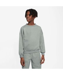 NIKE(NIKE)/K NSW ICON FLC CREW LS/LIGHTPUMICE/SAIL/LIGHTSILVER