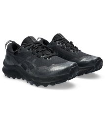 ASICS/GEL－Trabuco 12 GTX/506109674