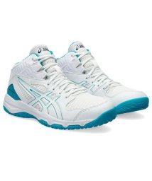 ASICS/DUNKSHOT MB 9/506109710