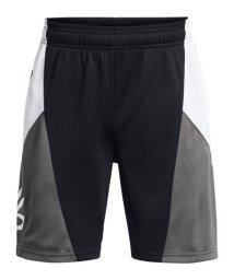 UNDER ARMOUR/Curry Boys Splash Short/506109820