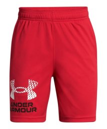 UNDER ARMOUR/UA Tech Logo Shorts/506109857