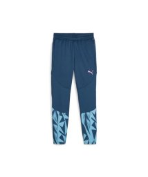 PUMA/INDIVIDUALFINAL トレーニング ハ/506110345