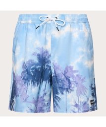 SHIMANO(シマノ)/CANARY PALMS RC 18 BEACHSHORT/PALMSCLOUDSLTBLUE