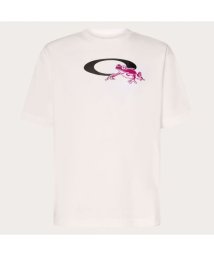 SHIMANO(シマノ)/ENHANCE QDC SS TEE FROG ICON 3.0/WHITE