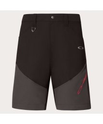 SHIMANO/ICON SHAPE WIDE SHORTS/506110646