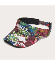 SHIMANO/SKULL GRAPHIC VISOR 24.0/506110692