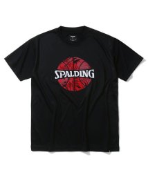 SPALDING/Tシャツ ネオン トロピカル ボール プリント/506111141