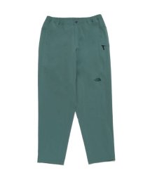 THE NORTH FACE(ザノースフェイス)/Mountain Color Pant (マウンテンカラーパンツ)/MG