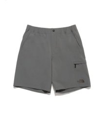 THE NORTH FACE(ザノースフェイス)/Mountain Color Short (マウンテンカラーショーツ)/FG