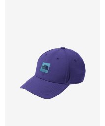 THE NORTH FACE(ザノースフェイス)/Square Logo Cap (スクエアロゴキャップ)/TP