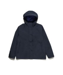 THE NORTH FACE(ザノースフェイス)/Stow Away Jacket (ストーアウェイジャケット)/US