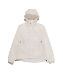 THE NORTH FACE/Swallowtail Hoodie (スワローテイルフーディ)/506111924