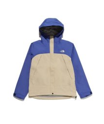 THE NORTH FACE/Dot Shot Jacket (ドットショットジャケット)/506111930