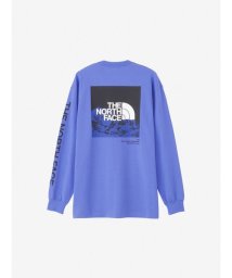 THE NORTH FACE(ザノースフェイス)/L/S Sleeve Graphic Tee (ロングスリーブスリーブグラフィックティー)/SO