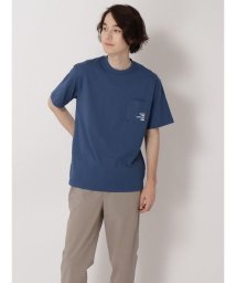 THE NORTH FACE(ザノースフェイス)/S/S California Pocket Tee/シェイディーブルー