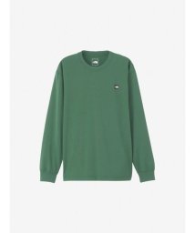 THE NORTH FACE(ザノースフェイス)/L/S Small Box Logo Tee (ロングスリーブスモールボックスロゴティー)/TG