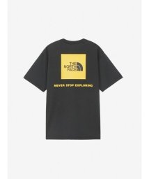 THE NORTH FACE/S/S Back Square Logo Tee (ショートスリーブバックスクエアーロゴティー)/506111984