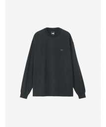 THE NORTH FACE/L/S Rock Steady Tee (ロングスリーブロックステディーティー)/506112007