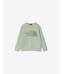 THE NORTH FACE/Colorise Sweat Crew (キッズ カラライズスウェットクルー)/506112066