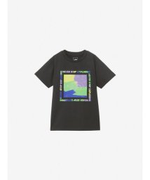 THE NORTH FACE(ザノースフェイス)/S/S Getmoted Graphic Tee (キッズ ショートスリーブゲットモテッドグラフィックティー)/K