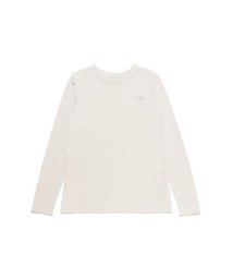 THE NORTH FACE/L/S GTD MELANGE CREW(ロングスリーブGTDメランジクルー)/506112095