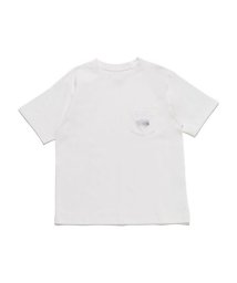 THE NORTH FACE(ザノースフェイス)/S/S Prospector One Grain Tee (ショートスリーブプロスペクターワングレインティー)/OW