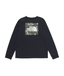 THE NORTH FACE(ザノースフェイス)/L/S TNF Bug Free Tee (ロングスリーブTNFバグフリーティー)/AG