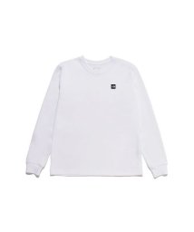 THE NORTH FACE/L/S Small Box Logo Tee (ロングスリーブスモールボックスロゴティー)/506112108