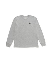 THE NORTH FACE/L/S Small Box Logo Tee (ロングスリーブスモールボックスロゴティー)/506112108