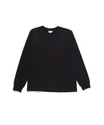 THE NORTH FACE/L/S Nuptse Cotton Tee (ロングスリーブヌプシコットンティー)/506112110