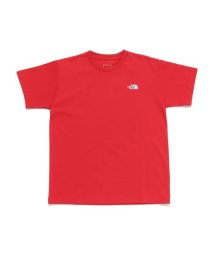 THE NORTH FACE/S/S Nuptse Tee (ショートスリーブヌプシティー)/506112115