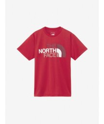 THE NORTH FACE/S/S Colorful Logo Tee (ショートスリーブカラフルロゴティー)/506112116