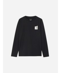 THE NORTH FACE/L/S ACTIVE MAN TEE(ロングスリーブアクティブマンティー)/506112123