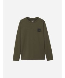THE NORTH FACE/L/S ACTIVE MAN TEE(ロングスリーブアクティブマンティー)/506112123