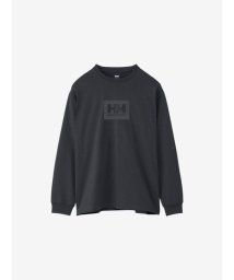 HELLY HANSEN(ヘリーハンセン)/L/S HH Logo Tee (ロングスリーブHHロゴティー)/K2