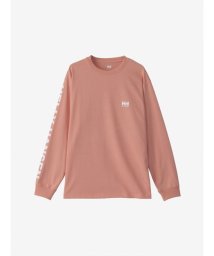 HELLY HANSEN(ヘリーハンセン)/L/S Letter Tee (ロングスリーブレターティー)/SO